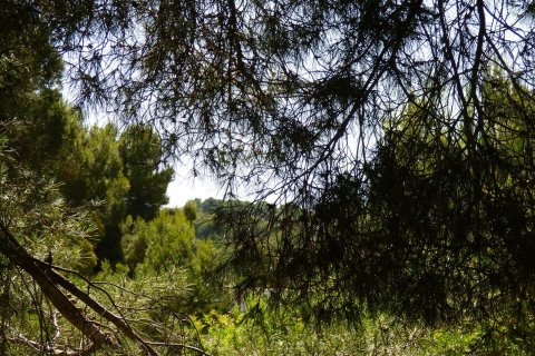 Terreno in vendita Benissa, Alicante, Spagna N° 54276 - foto 21