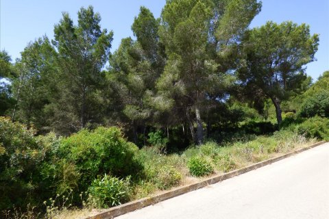 Terreno in vendita Benissa, Alicante, Spagna N° 54276 - foto 5