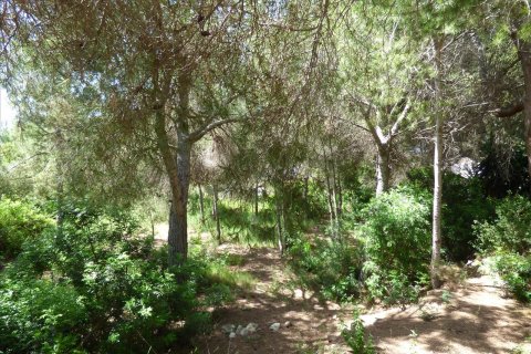 Terreno in vendita Benissa, Alicante, Spagna N° 54276 - foto 13