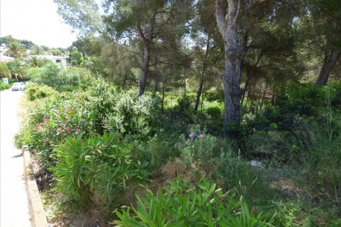Terreno in vendita Benissa, Alicante, Spagna N° 54276 - foto 26