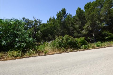 Terreno in vendita Benissa, Alicante, Spagna N° 54276 - foto 4