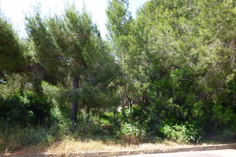 Terreno in vendita Benissa, Alicante, Spagna N° 54276 - foto 9