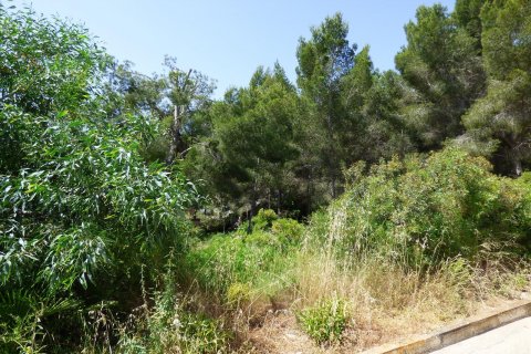 Terreno in vendita Benissa, Alicante, Spagna N° 54276 - foto 29