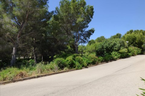 Terreno in vendita Benissa, Alicante, Spagna N° 54276 - foto 7