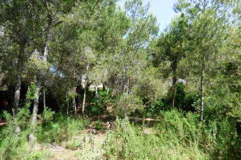 Terreno in vendita Benissa, Alicante, Spagna N° 54276 - foto 22
