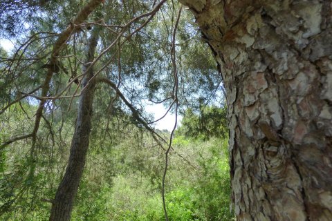 Terreno in vendita Benissa, Alicante, Spagna N° 54276 - foto 19