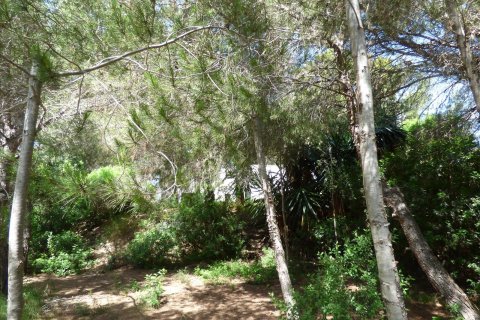 Terreno in vendita Benissa, Alicante, Spagna N° 54276 - foto 15