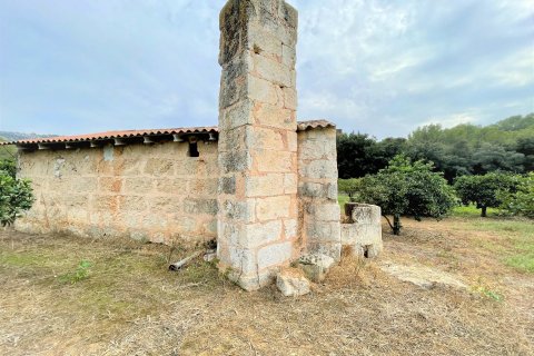 Finca in vendita a Sa Pobla, Mallorca, Spagna 4 camere da letto, 164 mq. N° 56688 - foto 18