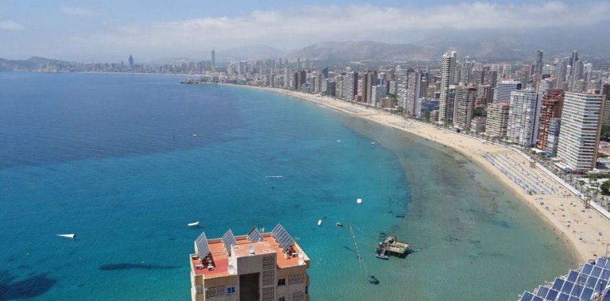 Appartamento a Benidorm, Alicante, Spagna 1 camera da letto, 60 mq. N° 58394