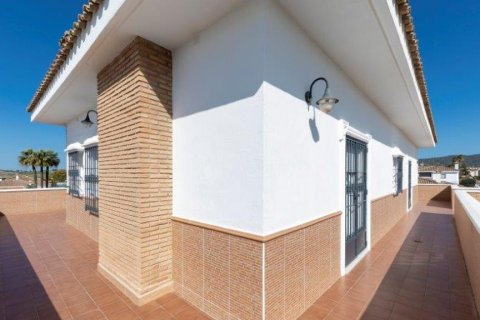 Villa in vendita El Santiscal, Cadiz, Spagna 5 camere da letto, 571 mq. N° 62047 - foto 15