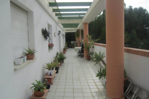 Penthauss pārdošanā Calpe, Alicante, Spānijā 2 istabas, 90 m2 Nr. 25156 - attēls 24