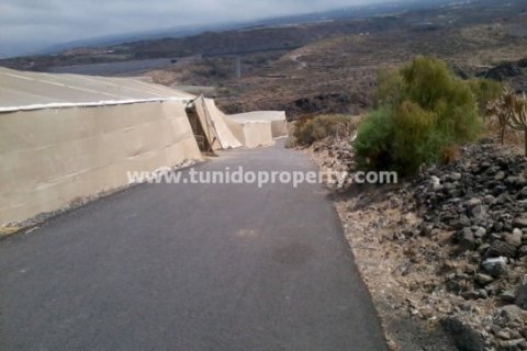 Zemes gabals pārdošanā Guia de Isora, Tenerife, Spānijā 135000 m2 Nr. 24325 - attēls 7
