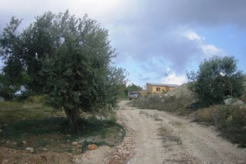 Zemes gabals pārdošanā Benissa, Alicante, Spānijā 18000 m2 Nr. 24932 - attēls 6