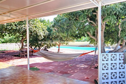 Finca pārdošanā Callao Salvaje, Tenerife, Spānijā 6 istabas, 280 m2 Nr. 24396 - attēls 3