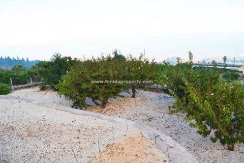 Finca pārdošanā Granadilla de Abona, Tenerife, Spānijā 2 istabas, 80 m2 Nr. 24367 - attēls 6