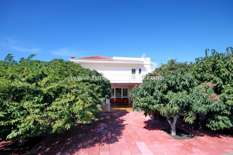 Finca pārdošanā Callao Salvaje, Tenerife, Spānijā 6 istabas, 280 m2 Nr. 24396 - attēls 8