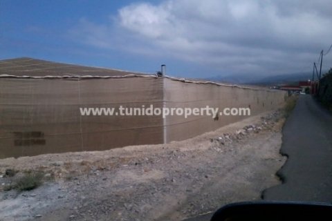 Zemes gabals pārdošanā Guia de Isora, Tenerife, Spānijā 135000 m2 Nr. 24325 - attēls 8