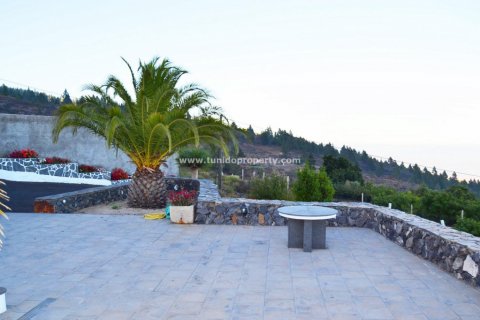 Finca pārdošanā Granadilla de Abona, Tenerife, Spānijā 2 istabas, 80 m2 Nr. 24367 - attēls 19