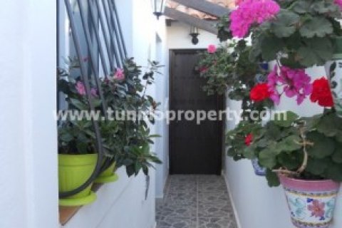 Villa pārdošanā Arico, Tenerife, Spānijā 5 istabas, 295 m2 Nr. 24329 - attēls 22