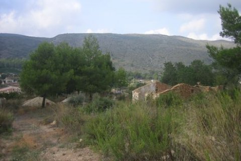 Zemes gabals pārdošanā Benissa, Alicante, Spānijā 18000 m2 Nr. 24932 - attēls 2