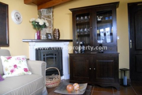 Villa pārdošanā Arico, Tenerife, Spānijā 5 istabas, 295 m2 Nr. 24329 - attēls 3