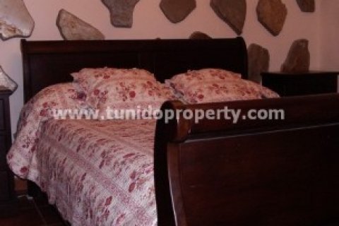 Villa pārdošanā Arico, Tenerife, Spānijā 5 istabas, 295 m2 Nr. 24329 - attēls 18