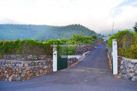 Finca pārdošanā Granadilla de Abona, Tenerife, Spānijā 2 istabas, 80 m2 Nr. 24367 - attēls 2