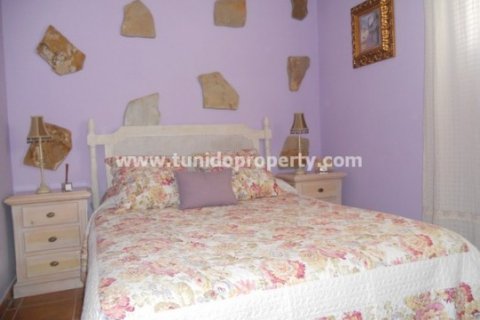 Villa pārdošanā Arico, Tenerife, Spānijā 5 istabas, 295 m2 Nr. 24329 - attēls 10