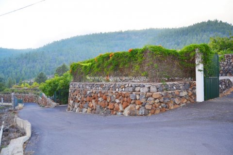Finca pārdošanā Granadilla de Abona, Tenerife, Spānijā 2 istabas, 80 m2 Nr. 24367 - attēls 3