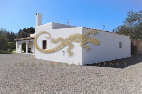 Villa īrēšanai Sant Joan de Labritja, Ibiza, Spānijā 4 istabas, 240 m2 Nr. 30846 - attēls 4