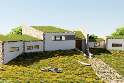 Zemes gabals pārdošanā Petra, Mallorca, Spānijā 28500 m2 Nr. 33011 - attēls 2