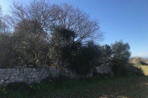 Zemes gabals pārdošanā Felanitx, Mallorca, Spānijā 32980 m2 Nr. 32420 - attēls 5