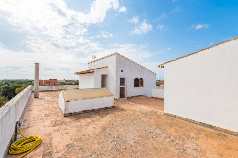 Rindu māja pārdošanā Santanyi, Mallorca, Spānijā 7 istabas, 552 m2 Nr. 32407 - attēls 14