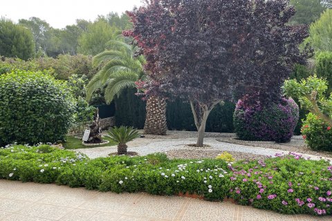 Dzīvoklis pārdošanā Peguera, Mallorca, Spānijā 3 istabas, 119 m2 Nr. 33462 - attēls 15