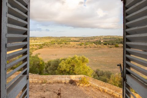 Finca pārdošanā Montuiri, Mallorca, Spānijā 8 istabas, 1630 m2 Nr. 32614 - attēls 6