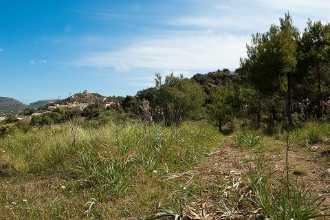 Zemes gabals pārdošanā Capdepera, Mallorca, Spānijā 32467 m2 Nr. 32556 - attēls 2