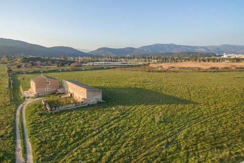 Zemes gabals pārdošanā Magalluf, Mallorca, Spānijā 114507 m2 Nr. 33402 - attēls 8