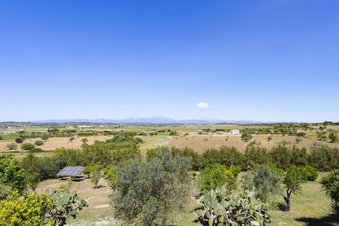 Finca pārdošanā Petra, Mallorca, Spānijā 10 istabas, 647 m2 Nr. 32437 - attēls 8