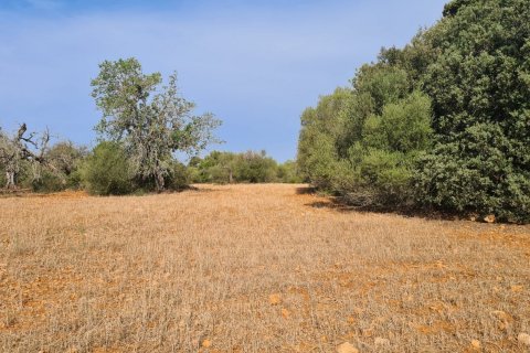 Zemes gabals pārdošanā Algaida, Mallorca, Spānijā 56279 m2 Nr. 32740 - attēls 4