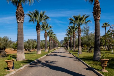 Finca pārdošanā Inca, Mallorca, Spānijā 5 istabas, 2416 m2 Nr. 32761 - attēls 12