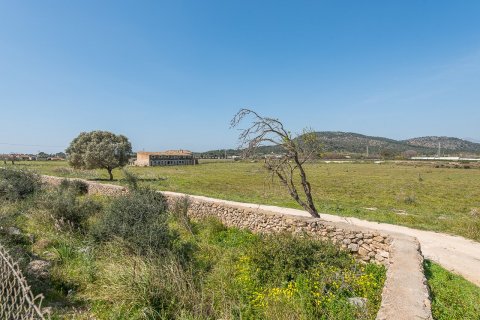 Zemes gabals pārdošanā Magalluf, Mallorca, Spānijā 114507 m2 Nr. 33402 - attēls 11