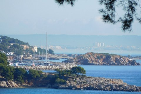 Zemes gabals pārdošanā Palmanova, Mallorca, Spānijā 1295 m2 Nr. 32834 - attēls 4