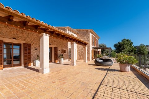 Finca pārdošanā Andratx, Mallorca, Spānijā 4 istabas, 911 m2 Nr. 36193 - attēls 25