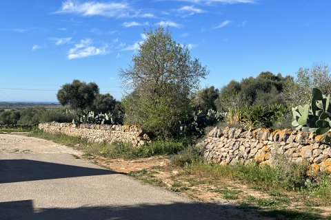 Zemes gabals pārdošanā Ses Salines, Mallorca, Spānijā 2490 m2 Nr. 36745 - attēls 2