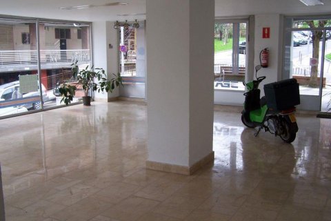 Komerciāls īpašums īrēšanai Donostia-San Sebastian, Gipuzkoa, Spānijā 100 m2 Nr. 24714 - attēls 6