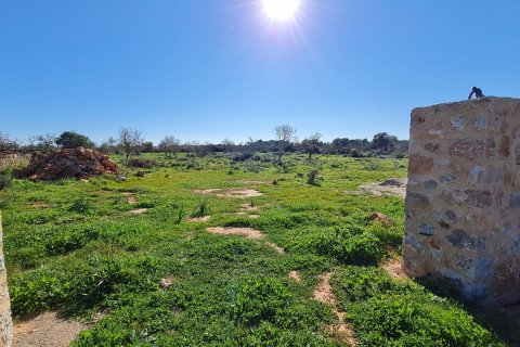 Finca pārdošanā Ses Salines, Mallorca, Spānijā 4 istabas, 467 m2 Nr. 37537 - attēls 4