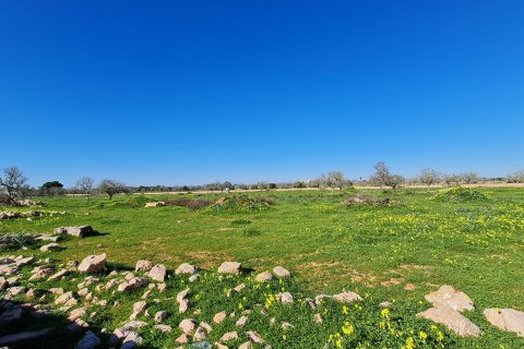 Finca pārdošanā Ses Salines, Mallorca, Spānijā 4 istabas, 420 m2 Nr. 37162 - attēls 3