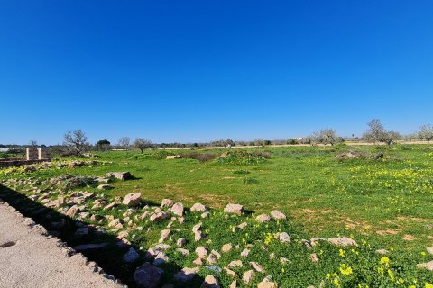 Finca pārdošanā Ses Salines, Mallorca, Spānijā 4 istabas, 420 m2 Nr. 37162 - attēls 4