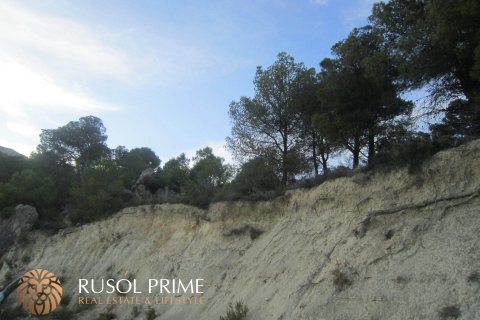 Zemes gabals pārdošanā Benissa, Alicante, Spānijā 33500 m2 Nr. 39403 - attēls 3