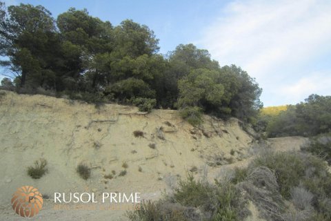 Zemes gabals pārdošanā Benissa, Alicante, Spānijā 33500 m2 Nr. 39403 - attēls 4